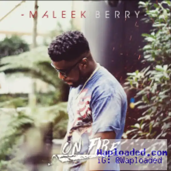 Maleek Berry - On Fire